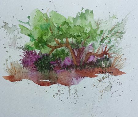 Shrub ( Watercolour )