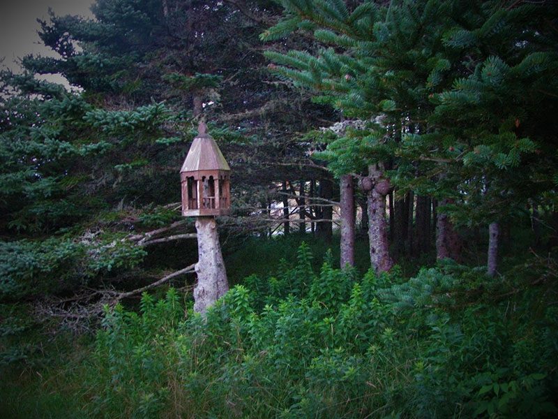 White Head NS - Bird Gazebo